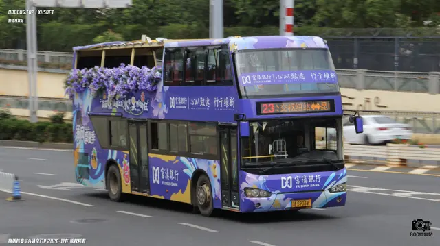 800BUS