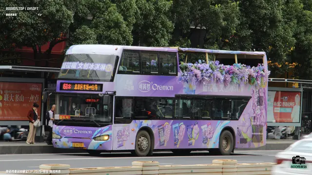800BUS