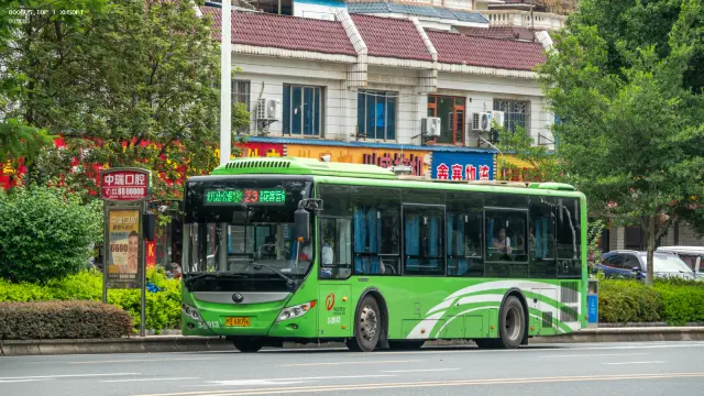 800BUS