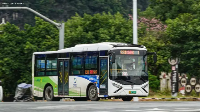 800BUS