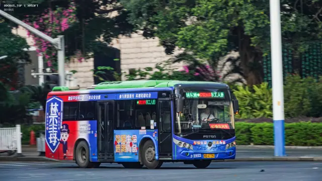 800BUS