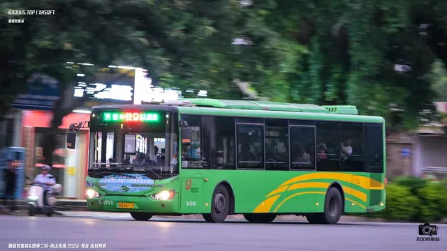 800BUS