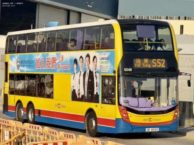800BUS