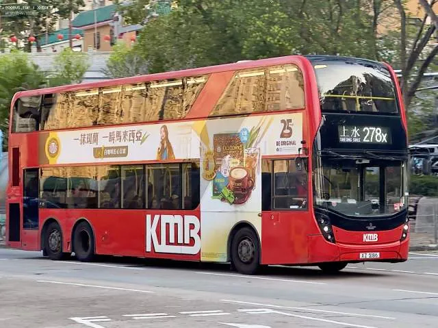 800BUS