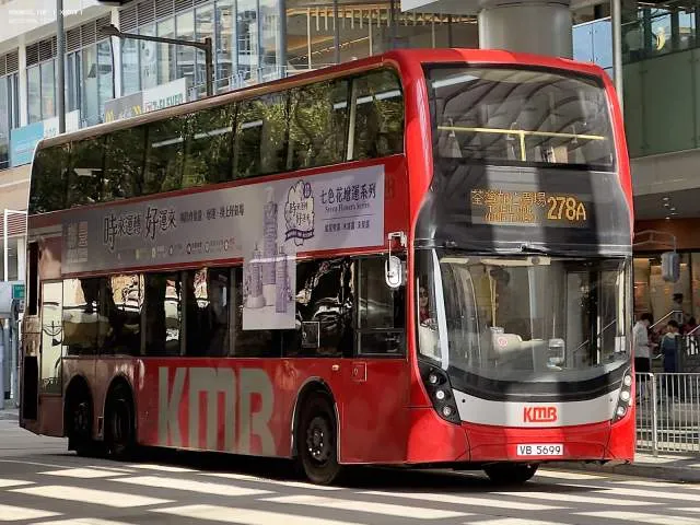 800BUS