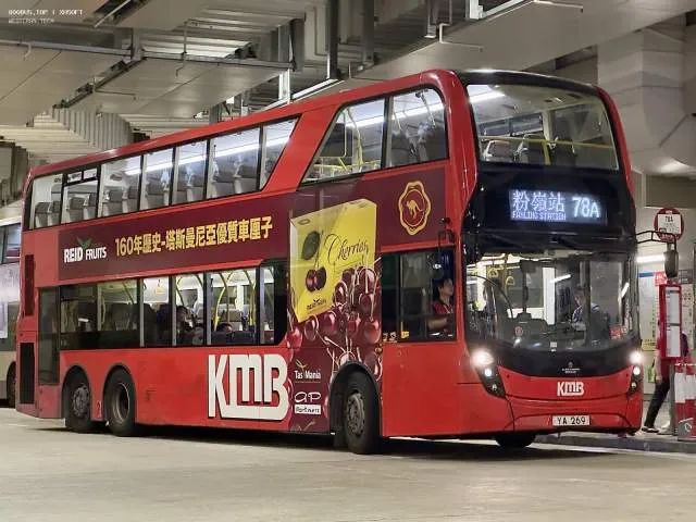 800BUS