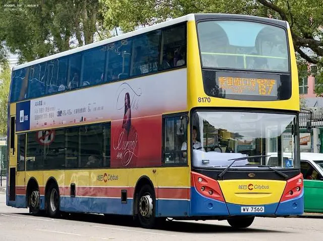 800BUS