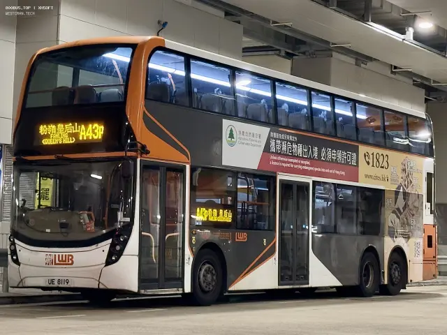 800BUS