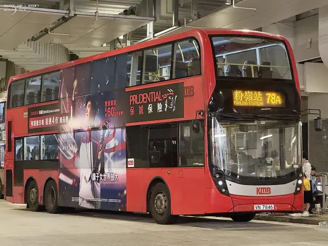 800BUS