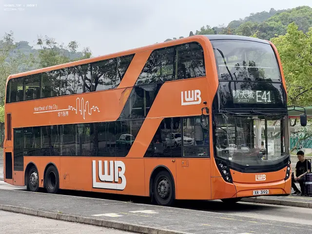 800BUS