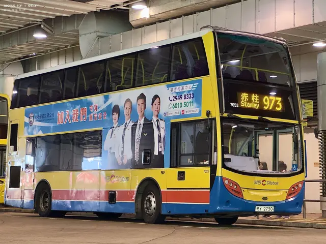 800BUS