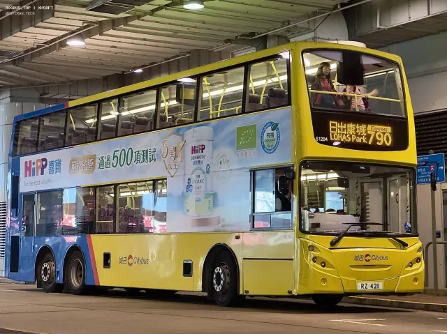 800BUS