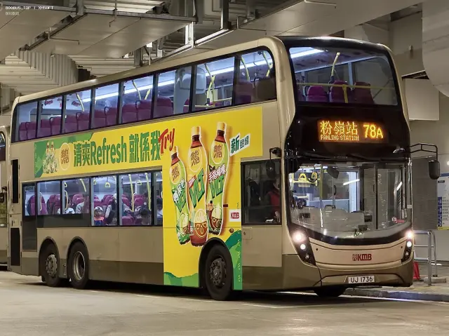 800BUS