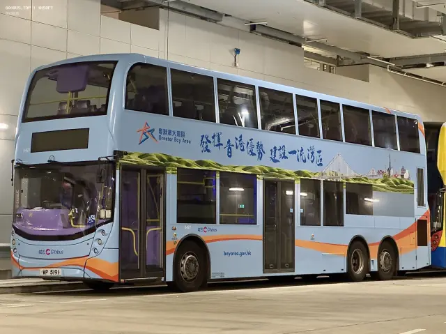 800BUS