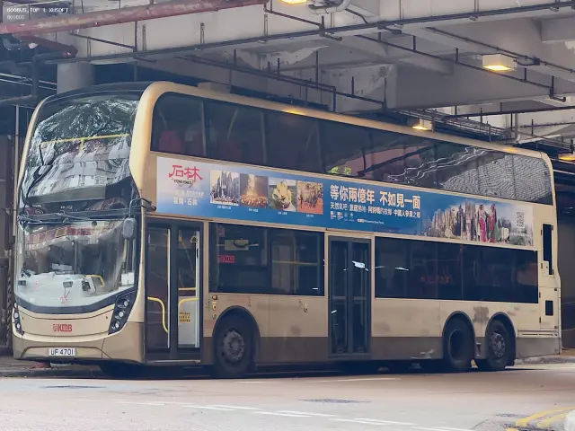 800BUS