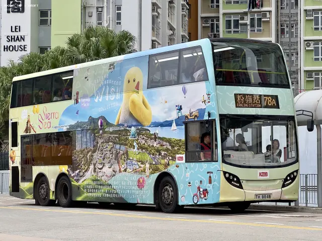 800BUS