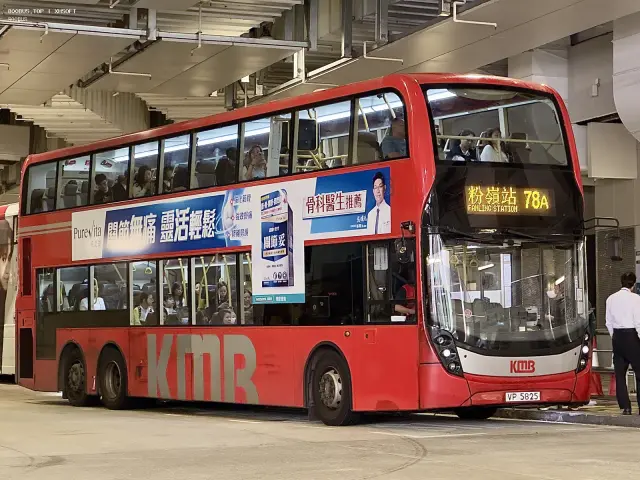 800BUS