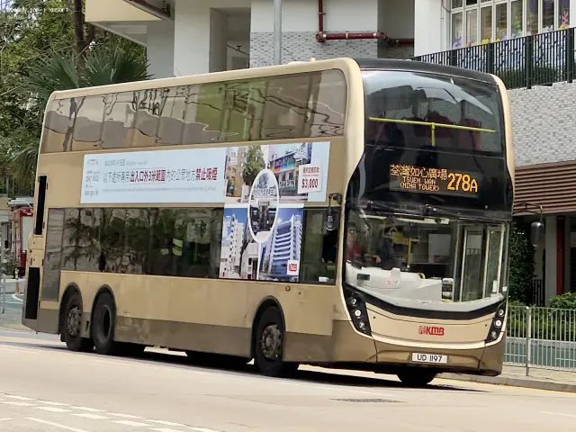 800BUS