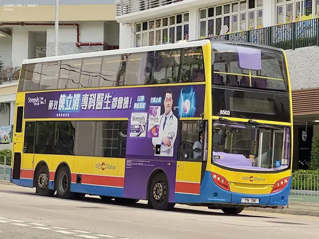 800BUS