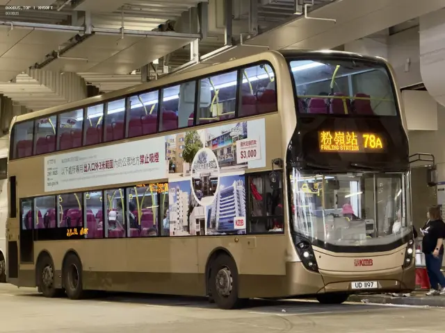 800BUS