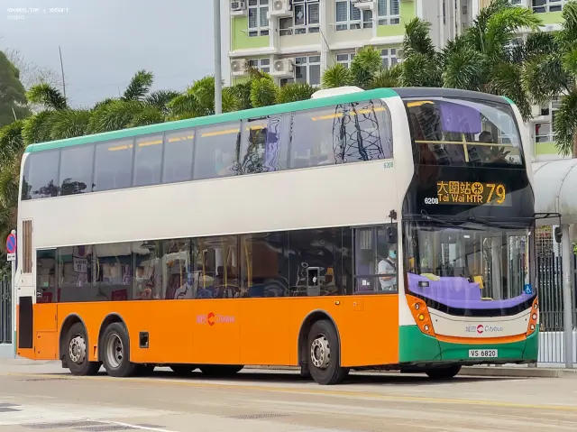 800BUS