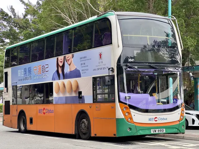 800BUS