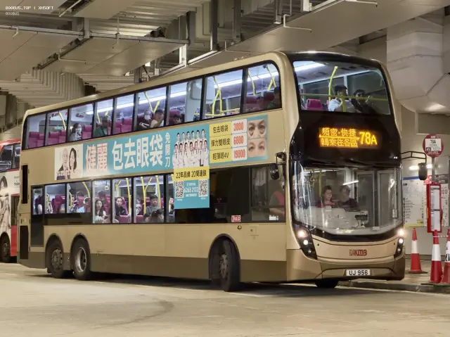 800BUS