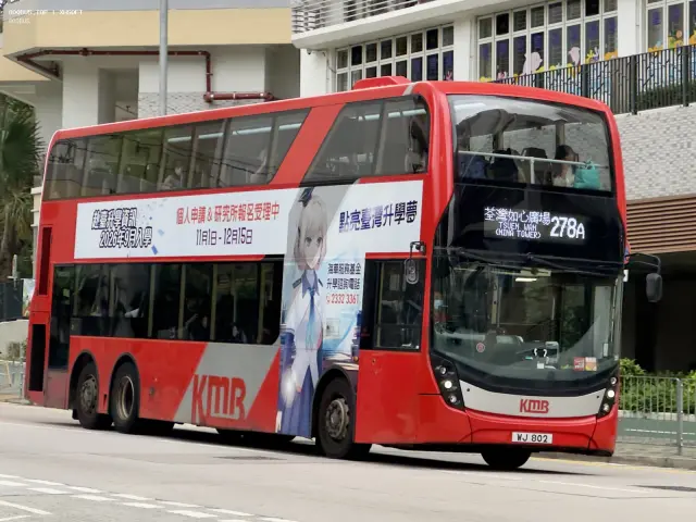 800BUS