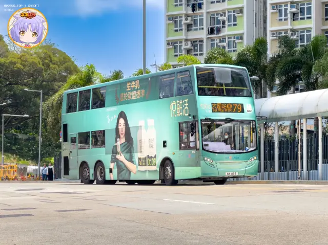 800BUS