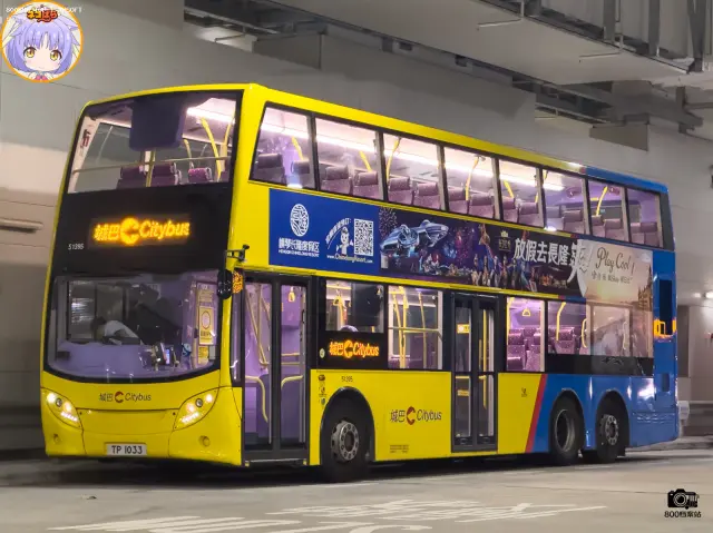 800BUS