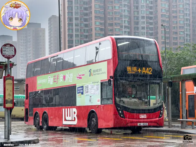 800BUS