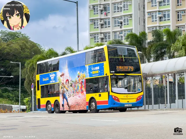 800BUS
