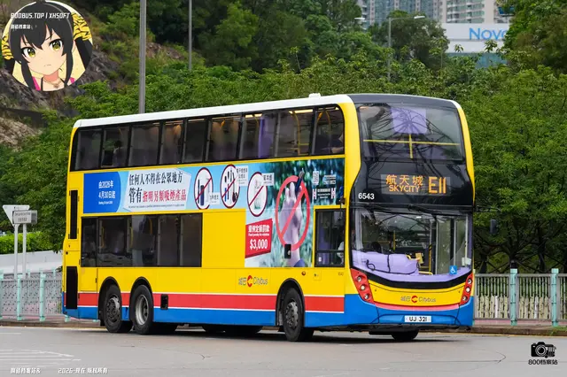 800BUS
