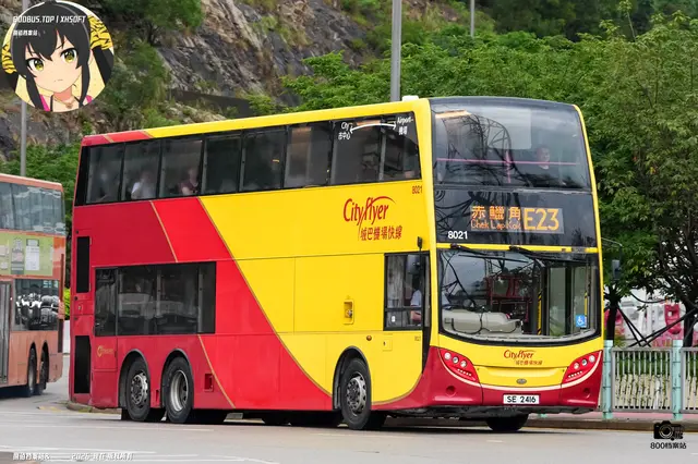 800BUS