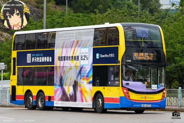 800BUS
