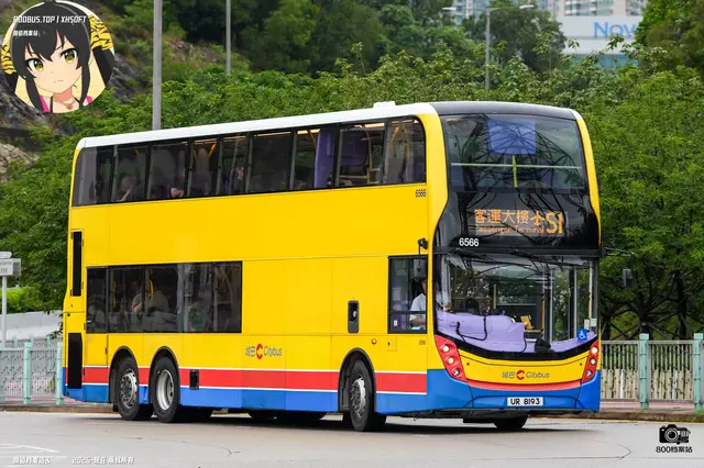 800BUS