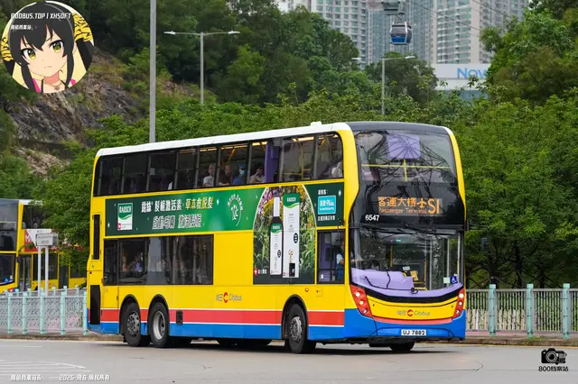 800BUS