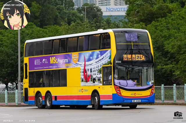 800BUS