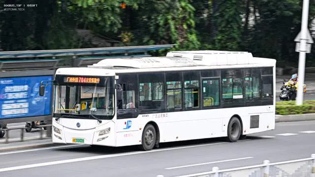 800BUS
