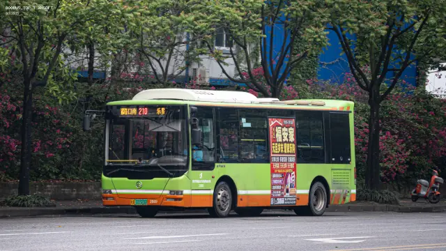 桂A 03320D