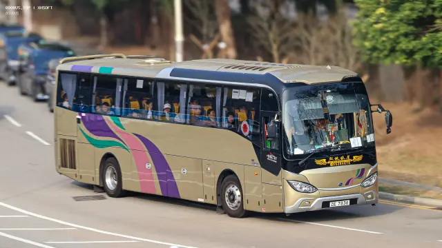 800BUS