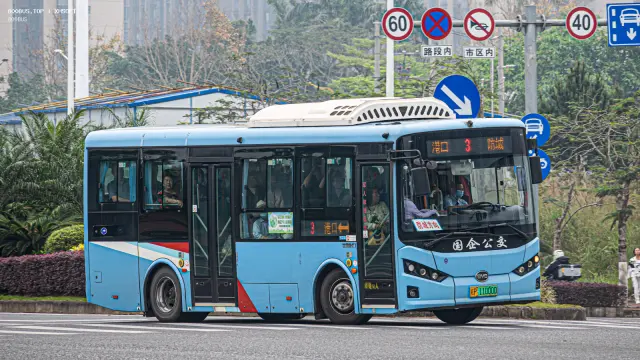 800BUS