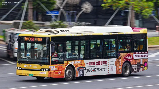 800BUS