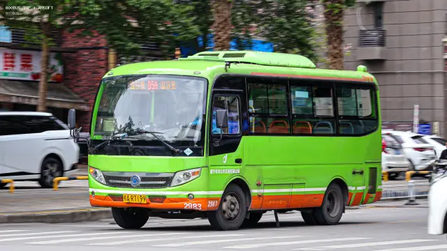 800BUS