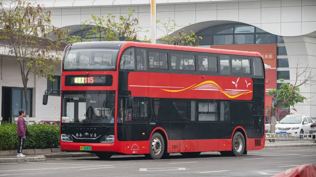 800BUS