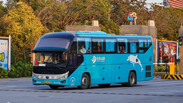 800BUS