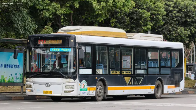 800BUS