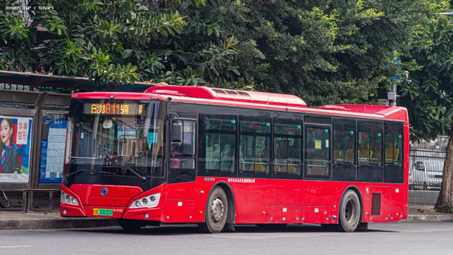 800BUS