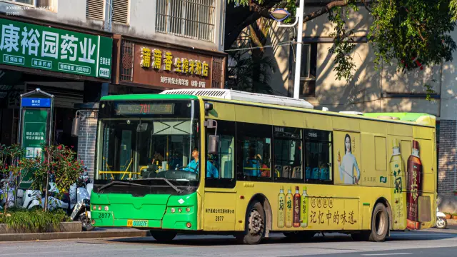 800BUS