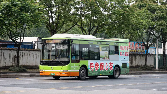 桂A 01362D